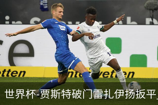 世界杯-贾斯特破门雷扎伊扬扳平 半场伊朗1-1新西兰