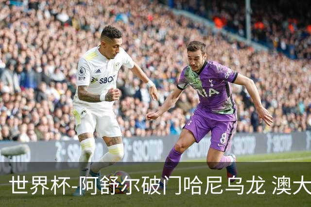 世界杯-阿舒尔破门哈尼乌龙 澳大利亚1-1埃及进加时
