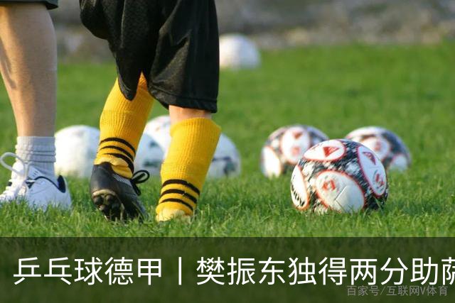 乒乓球德甲丨樊振东独得两分助萨尔布吕肯晋级决赛