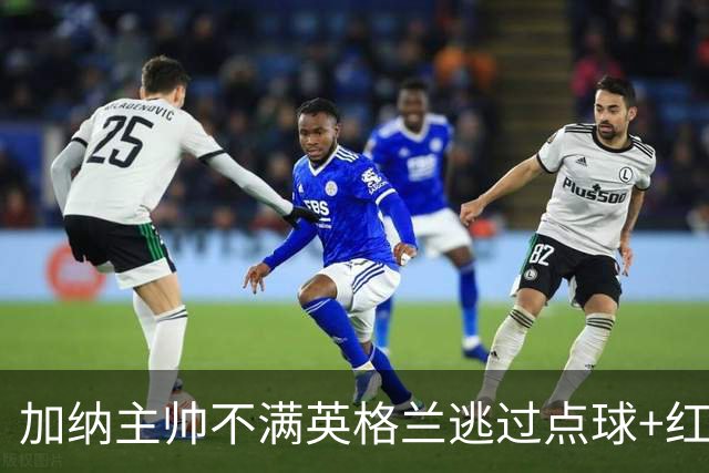 加纳主帅不满英格兰逃过点球+红牌 嘲讽VAR出去喝咖啡了