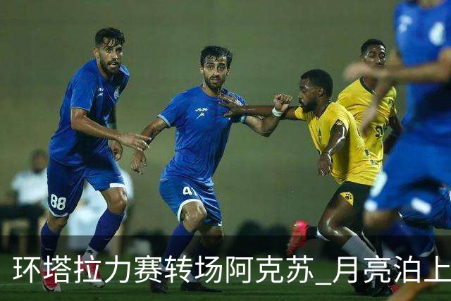 环塔拉力赛转场阿克苏 月亮泊上演“速度与激情”
