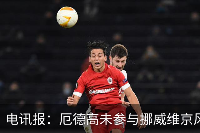 电讯报：厄德高未参与挪威维京风合照拍摄，随后补拍被添加进照片