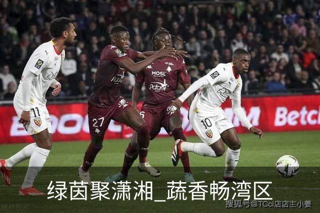 绿茵聚潇湘 蔬香畅湾区