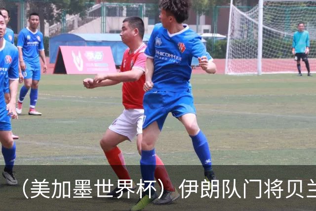 （美加墨世界杯）伊朗队门将贝兰万德的“满分”